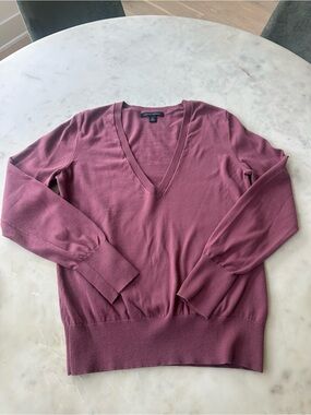 Banana Republic V-Neck Sweater in Mauve Pink